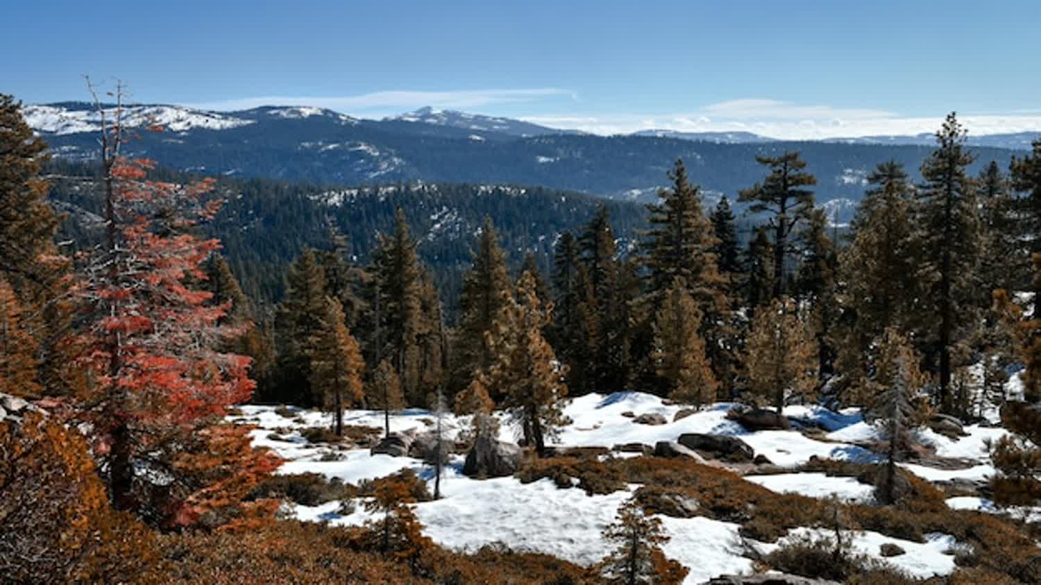Mount Charleston in Winter: Snow Day From Las Vegas Without Chains