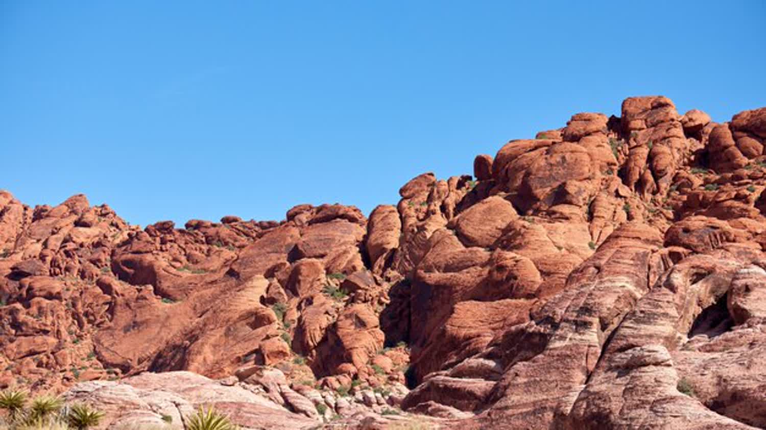 Valley of Fire vs. Red Rock Canyon: Which Day Trip Should You Pick?