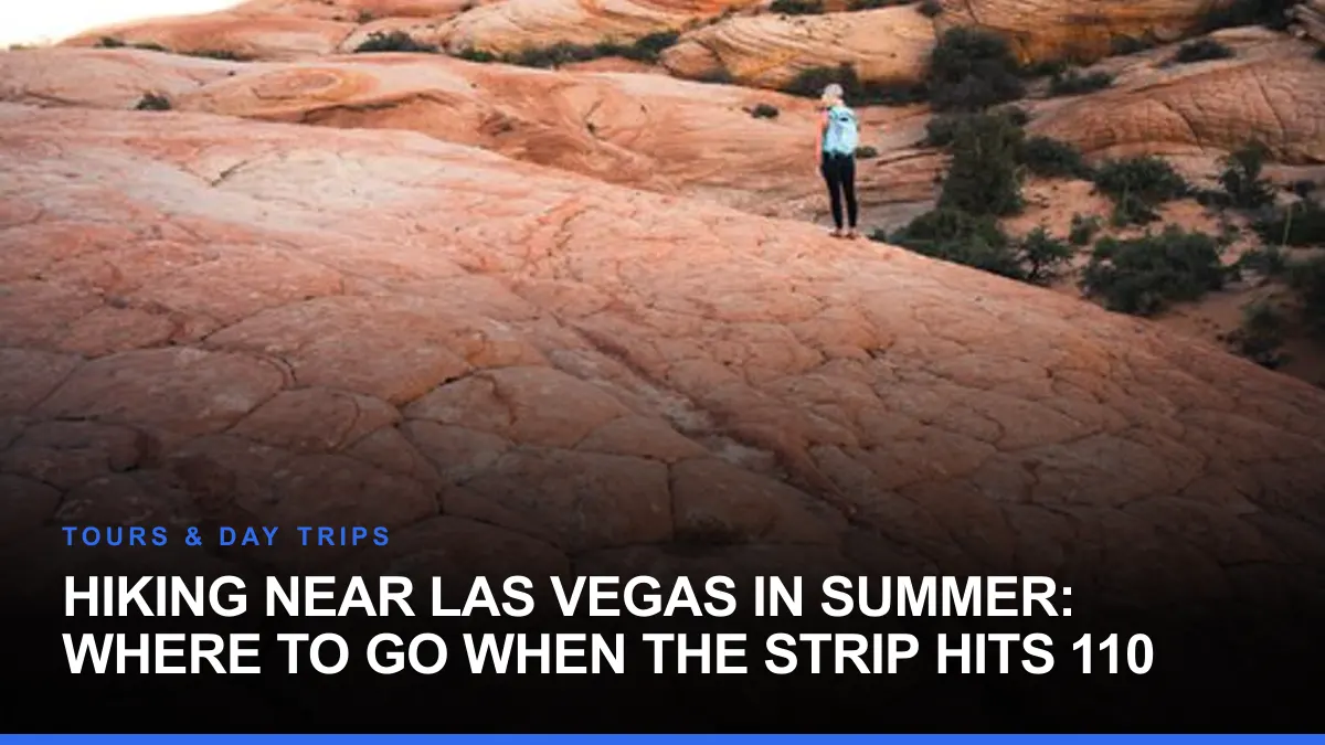 Hiking Near Las Vegas in Summer: Where to Go When the Strip Hits 110