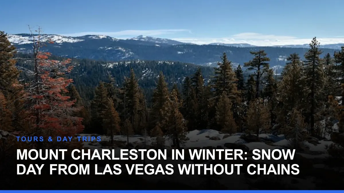Mount Charleston in Winter: Snow Day From Las Vegas Without Chains