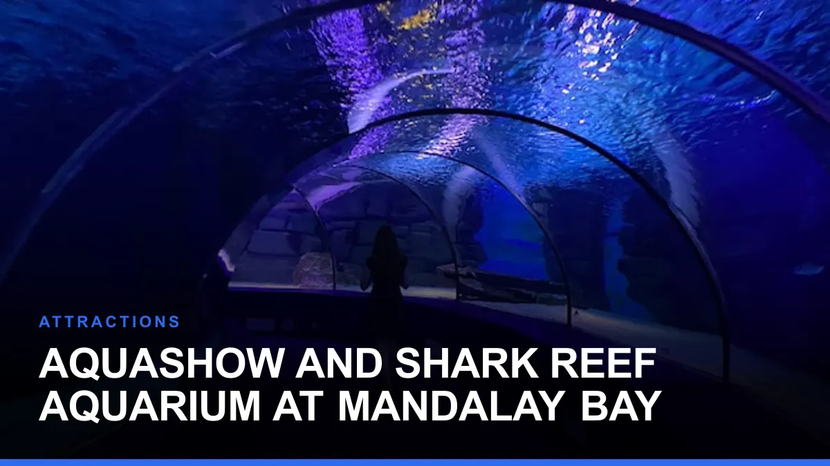 AquaShow and Shark Reef Aquarium at Mandalay Bay